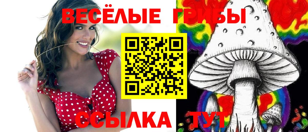 Галлюциногенные грибы Magic Shrooms Кинель