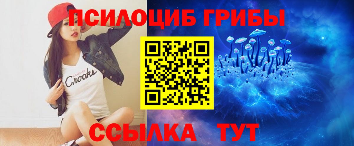 Кинель  Галлюциногенные грибы Magic Shrooms  Вход с VPN  Псилоцибиновые грибы Cubensis 